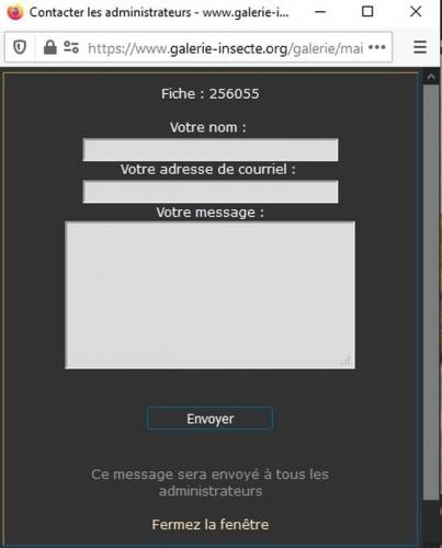 Indéterminé